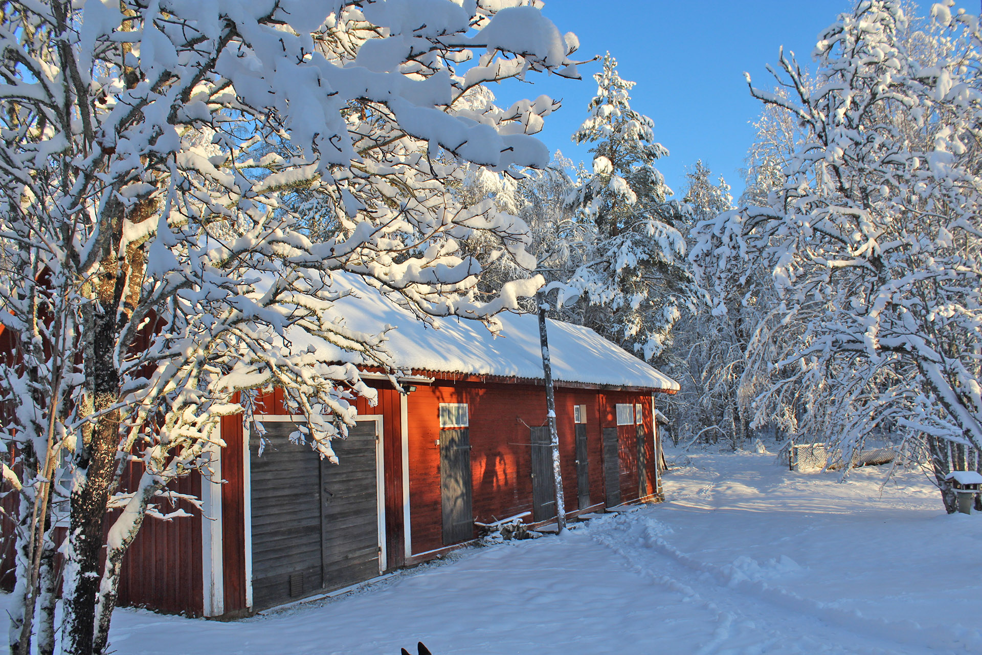 Berging sneeuw